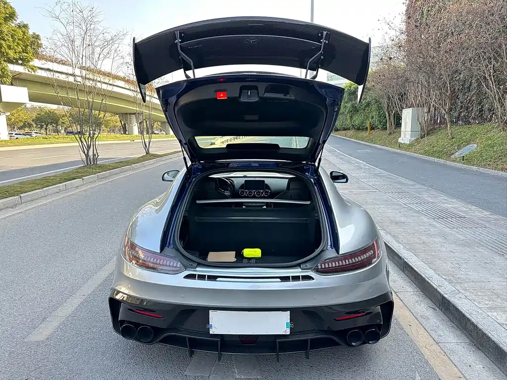 Mercedes-Benz AMG GT — фото 18
