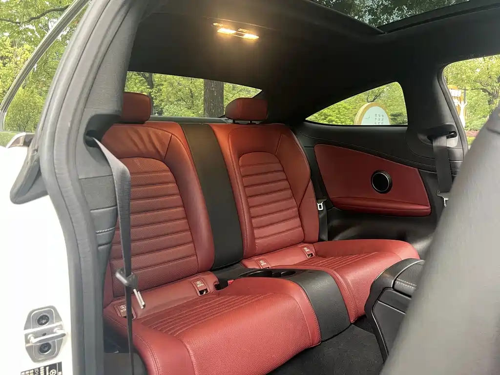 Mercedes-Benz C-Class (Import) — фото 14