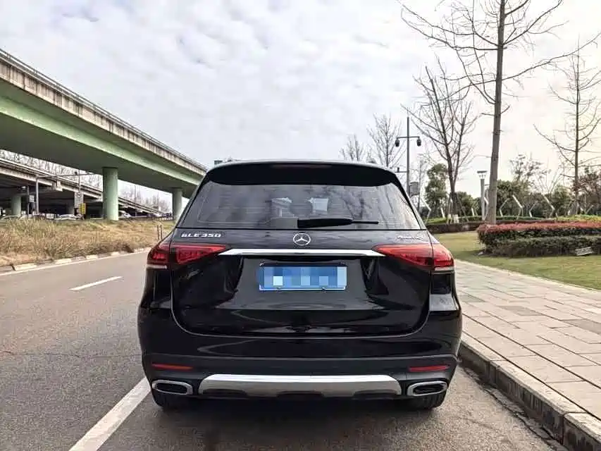 Mercedes-Benz GLE (Import) — фото 9