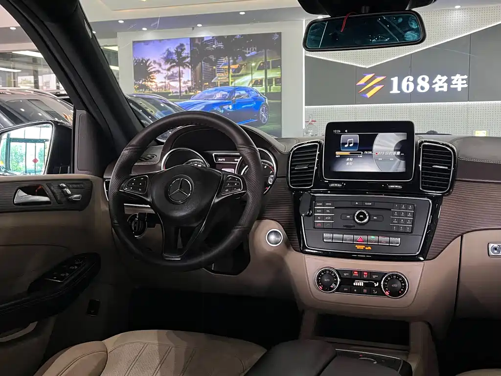 Mercedes-Benz GLE (Import) — фото 11