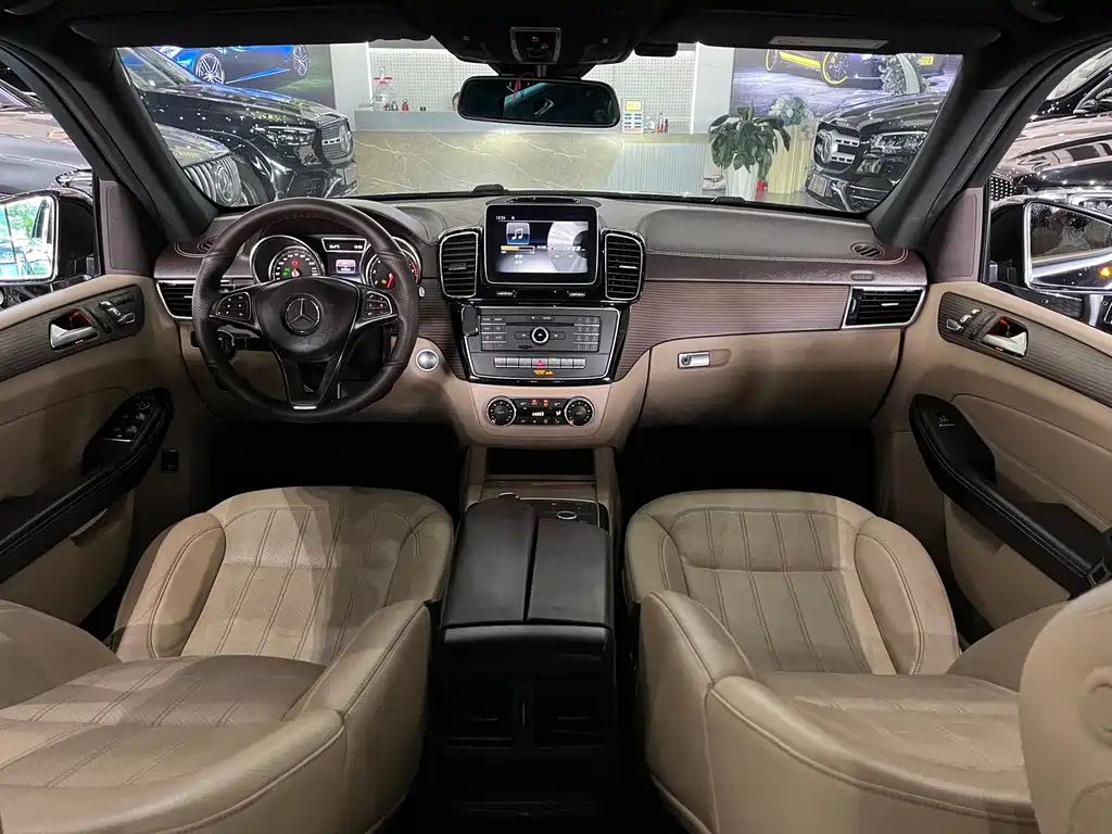Mercedes-Benz GLE (Import) — фото 10