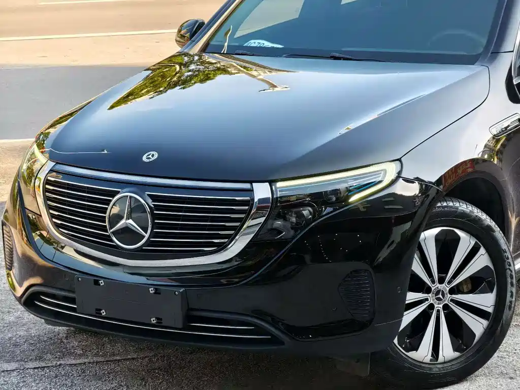 Mercedes-Benz EQC — фото 18