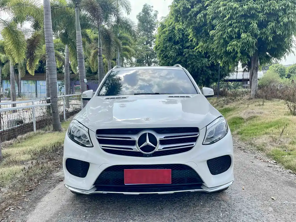 Mercedes-Benz GLE (Import) — фото 2