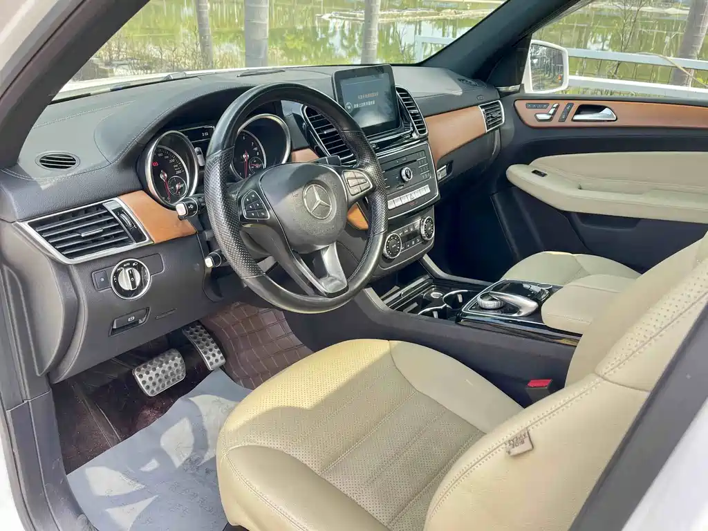 Mercedes-Benz GLE (Import) — фото 11