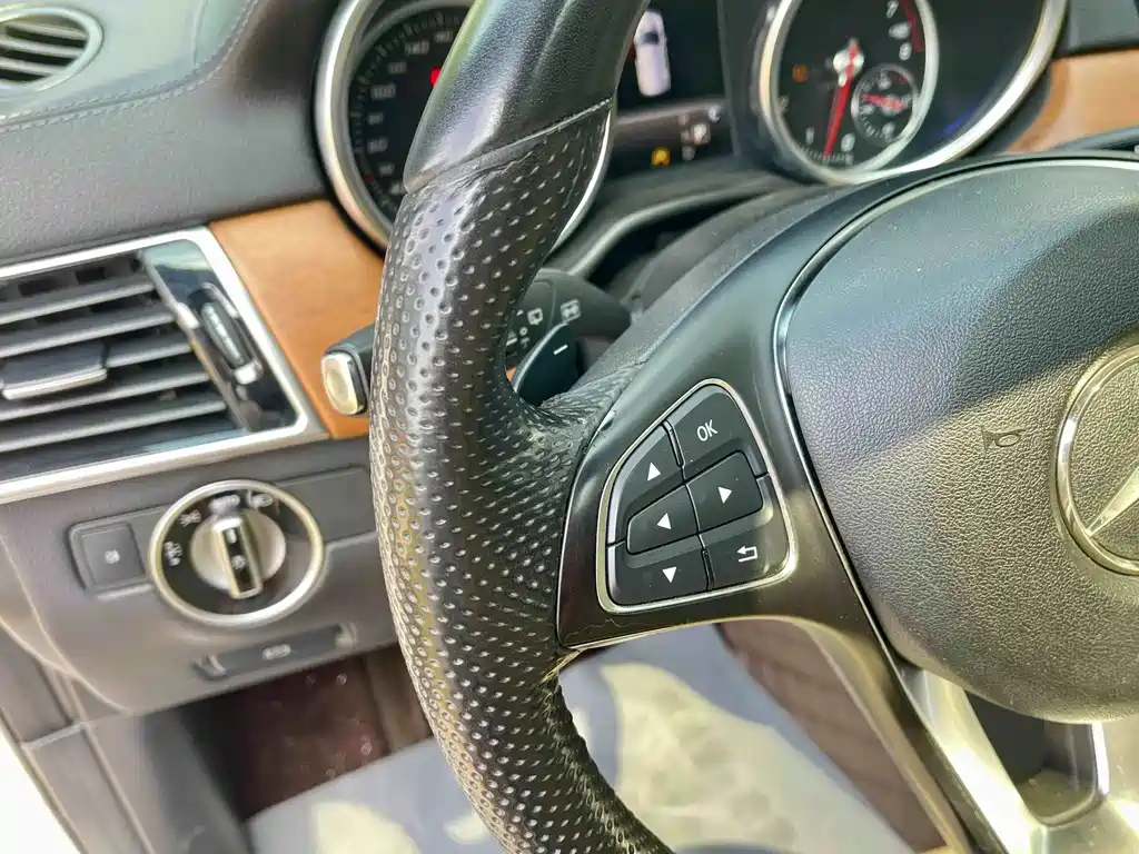 Mercedes-Benz GLE (Import) — фото 20