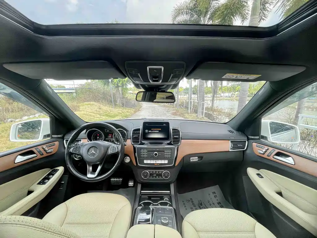 Mercedes-Benz GLE (Import) — фото 23