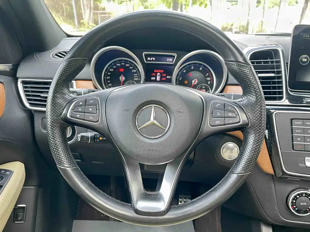Mercedes-Benz GLE (Import) — фото 24