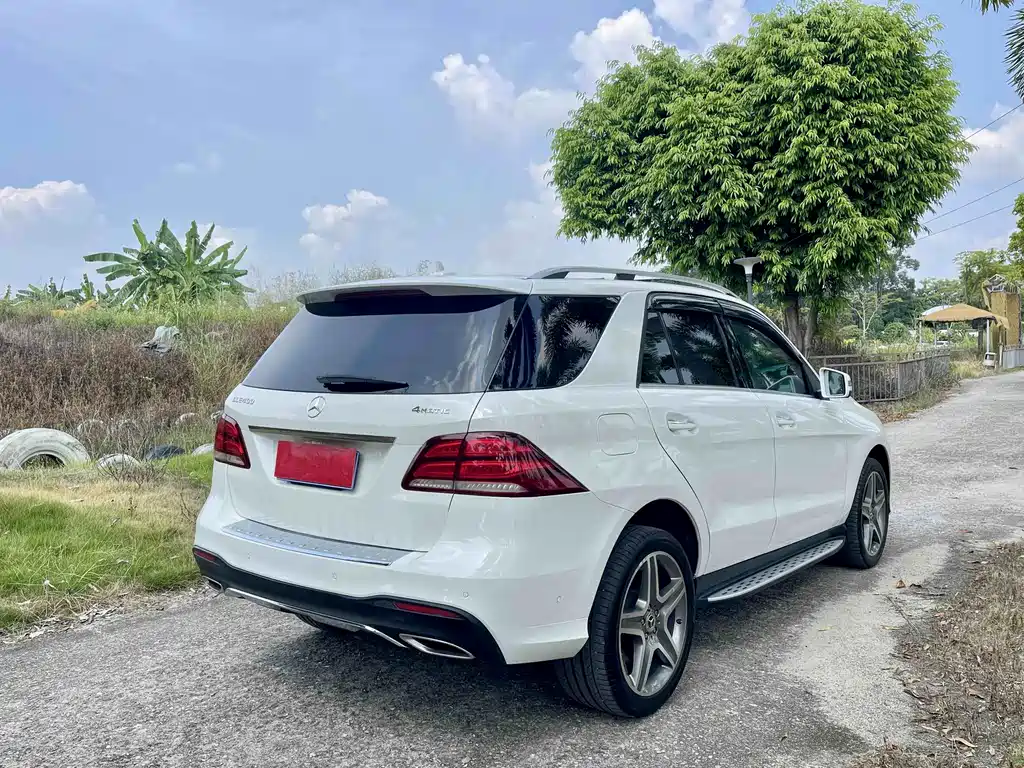Mercedes-Benz GLE (Import) — фото 7