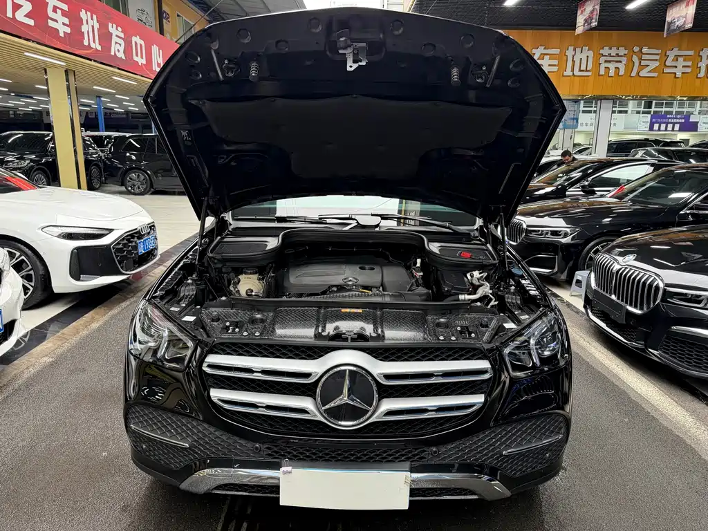 Mercedes-Benz GLE (Import) — фото 30