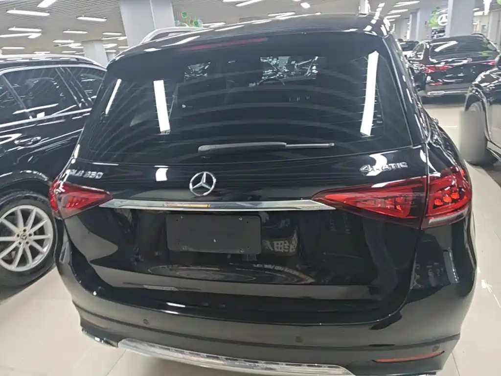 Mercedes-Benz GLE (Import) — фото 6