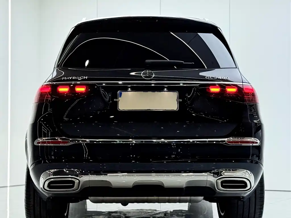Mercedes-Benz GLS — фото 22