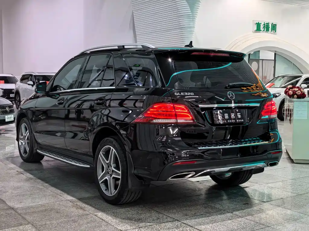 Mercedes-Benz GLE (Import) — фото 4