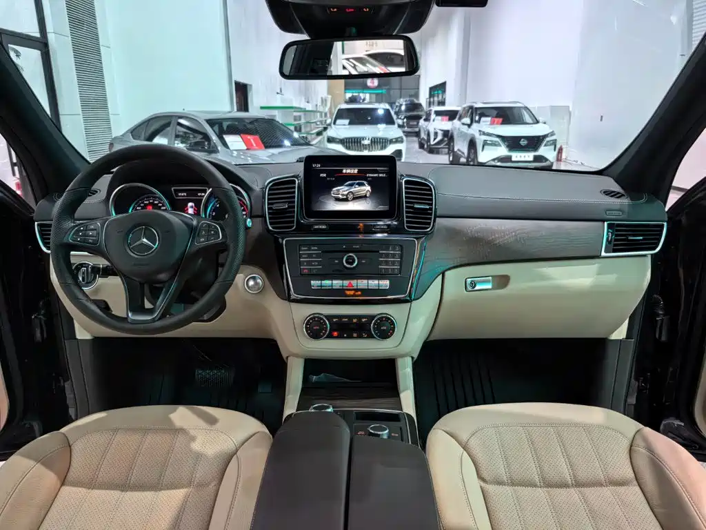 Mercedes-Benz GLE (Import) — фото 9
