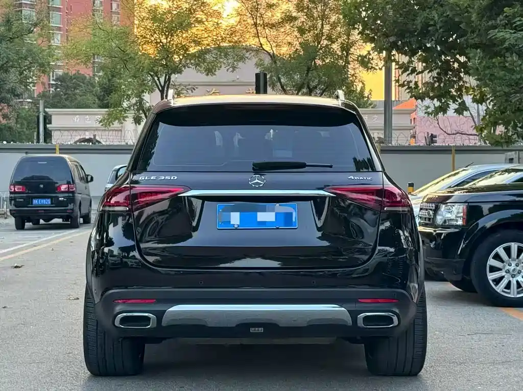 Mercedes-Benz GLE (Import) — фото 8