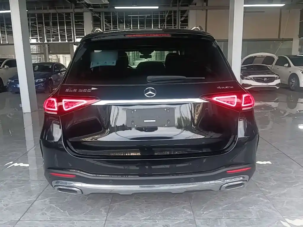 Mercedes-Benz GLE (Import) — фото 6