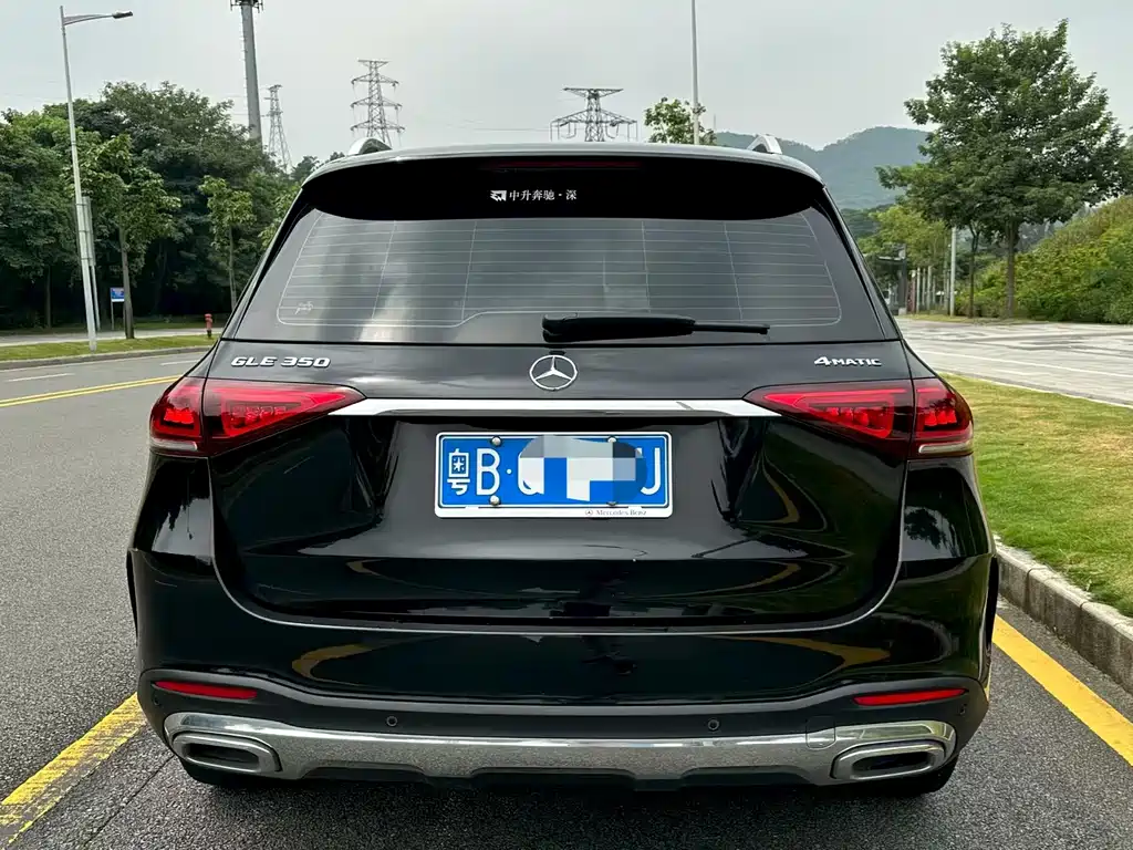 Mercedes-Benz GLE (Import) — фото 6