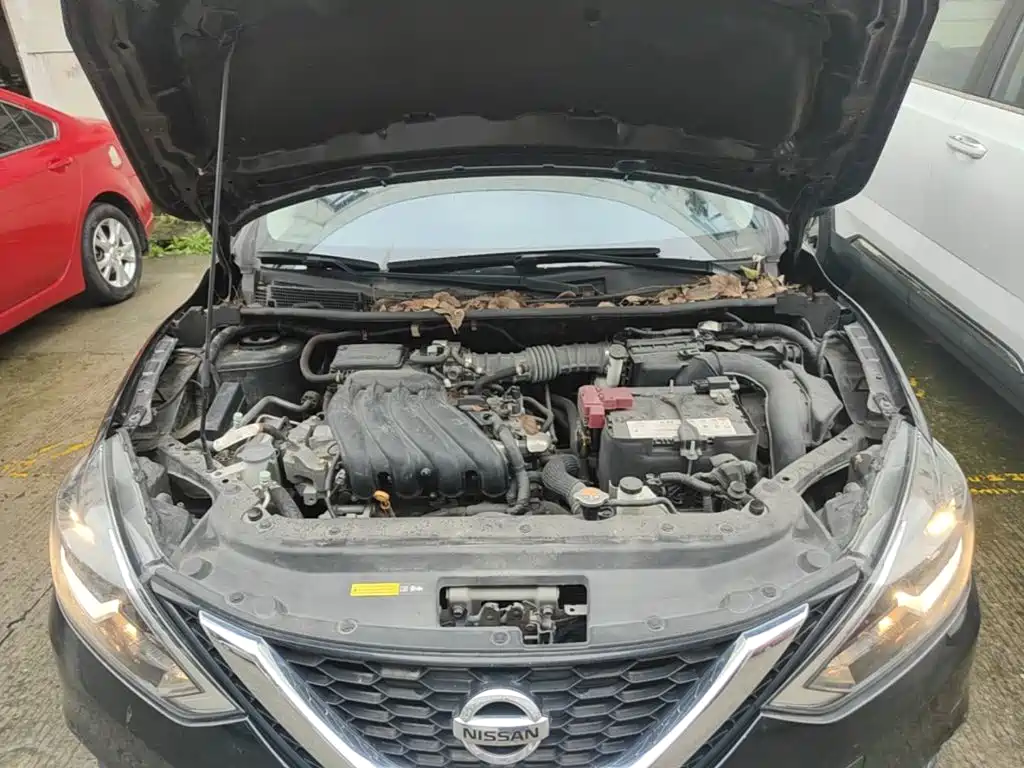 Nissan Sylphy — фото 20