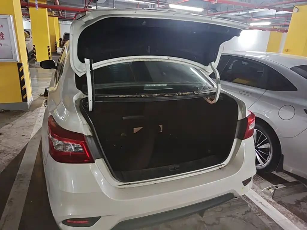 Nissan Sylphy — фото 19