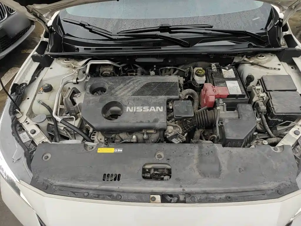 Nissan Sylphy — фото 20