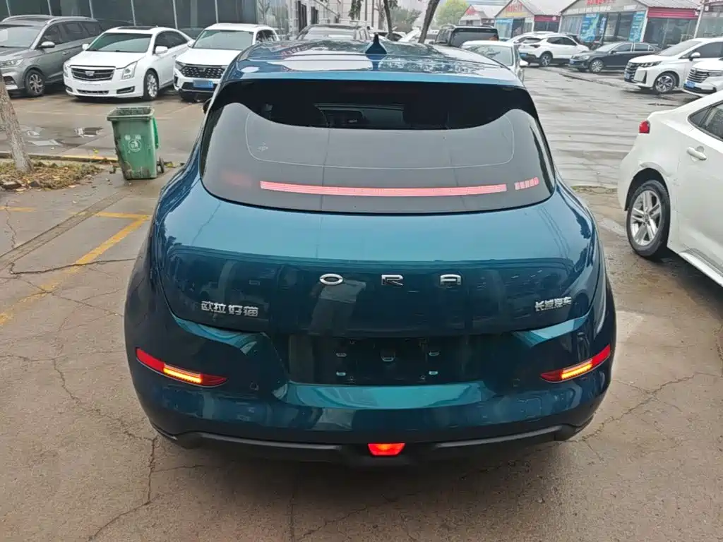 Ora Ora Good Cat — фото 6