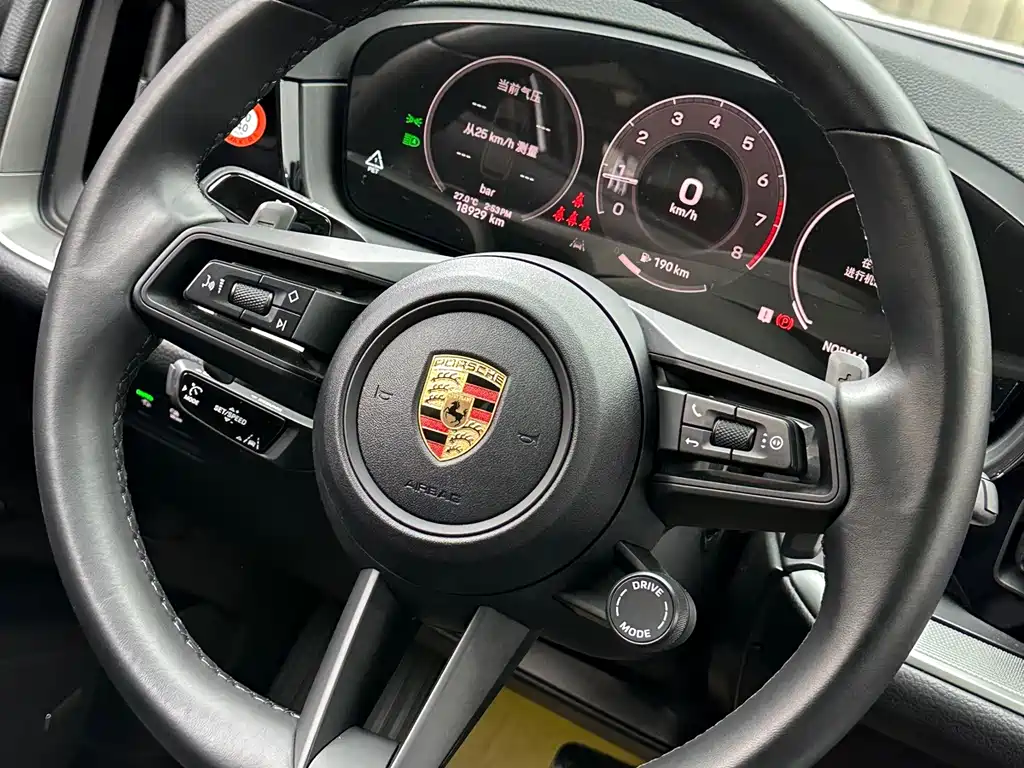 Porsche Cayenne — фото 19