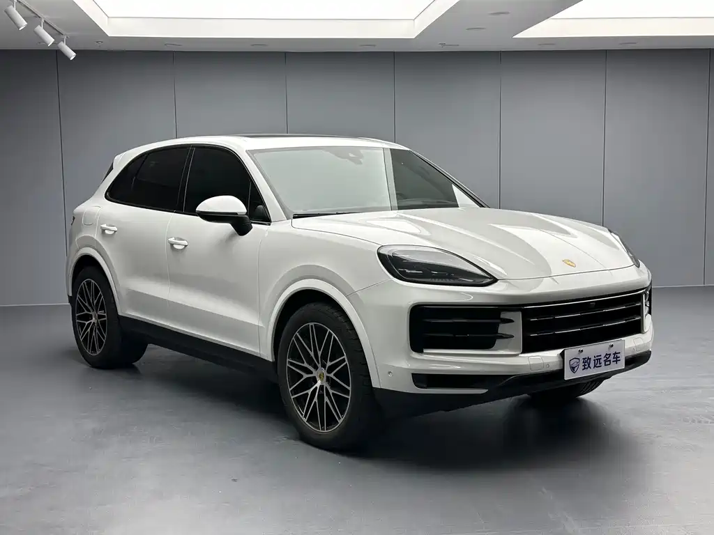 Porsche Cayenne — фото 3