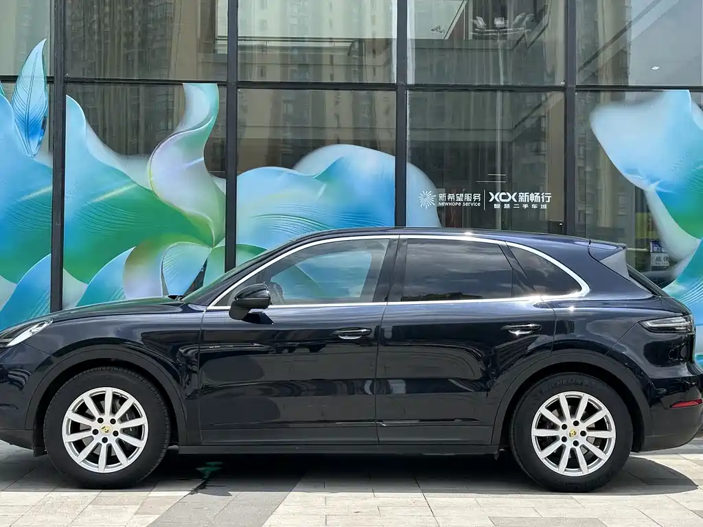 Porsche Cayenne — фото 16