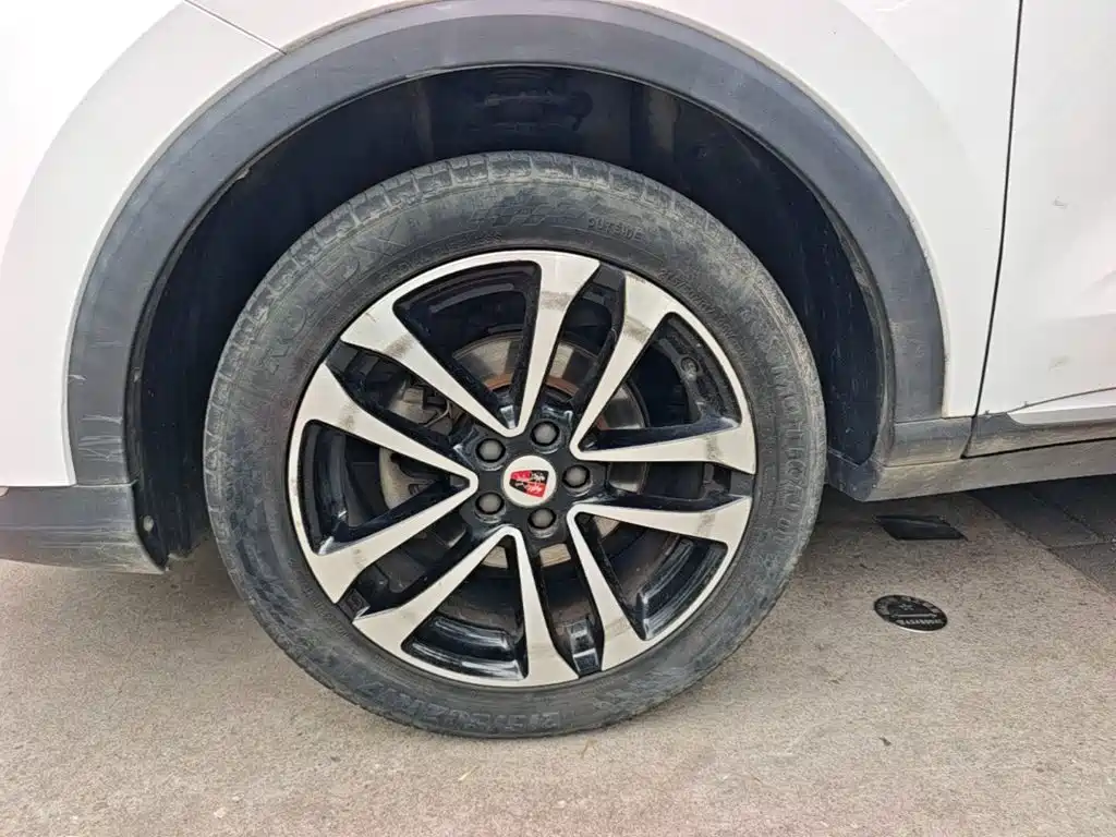 Roewe RX3 — фото 24
