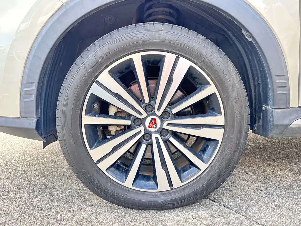 Roewe RX5 New Energy — фото 20