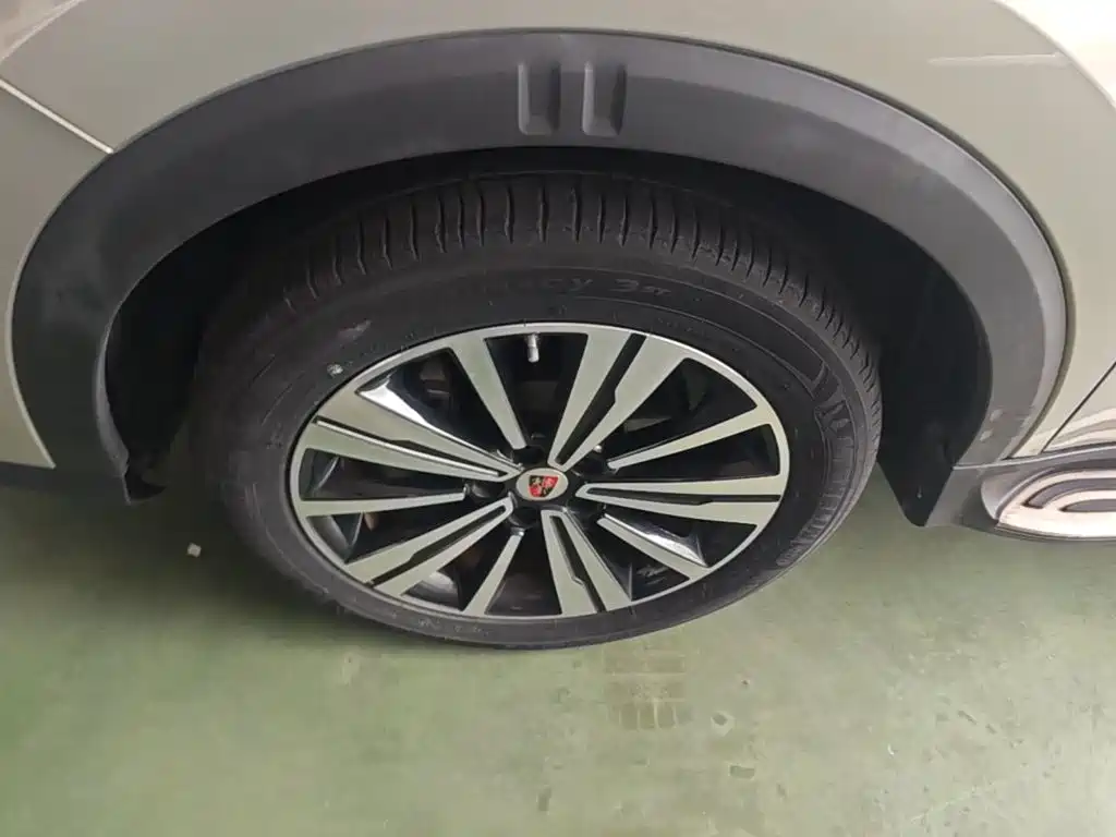 Roewe RX5 New Energy — фото 23