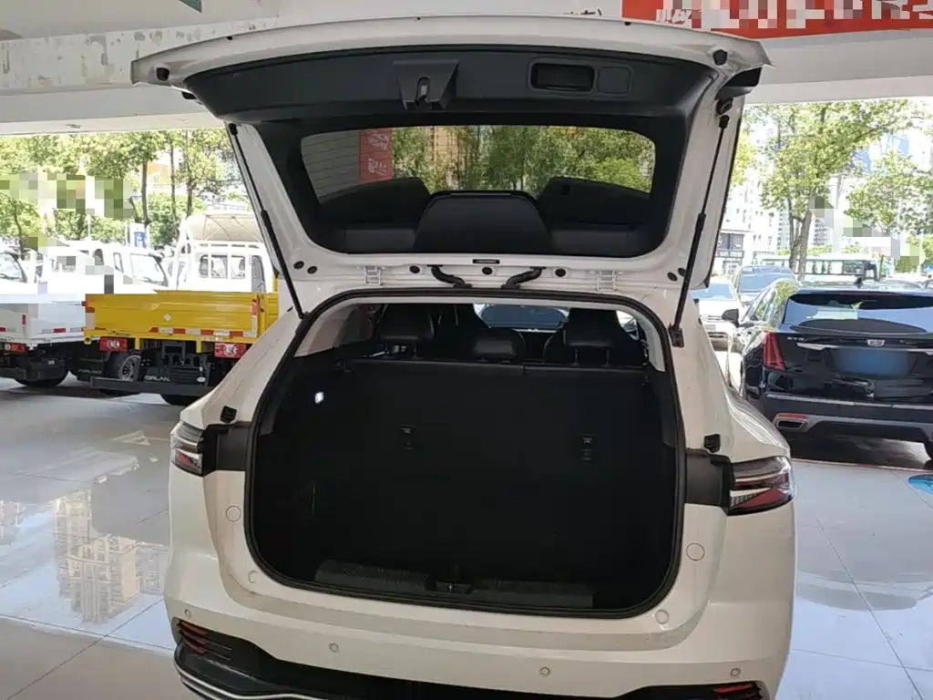Roewe RX5 New Energy — фото 19