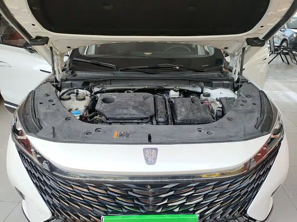 Roewe RX5 New Energy — фото 20