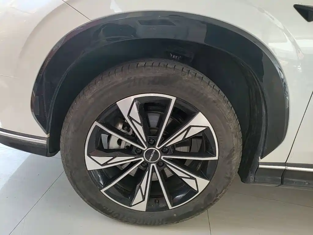 Roewe RX5 New Energy — фото 23