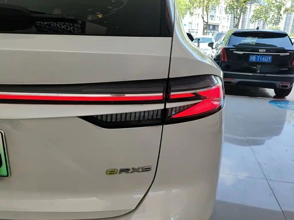 Roewe RX5 New Energy — фото 8
