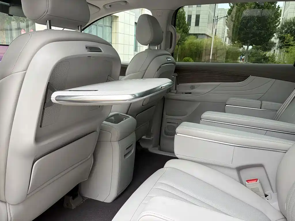 Roewe iMAX8 New Energy — фото 24