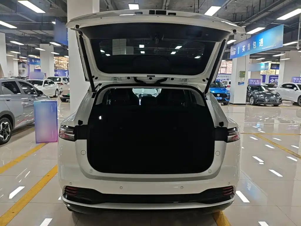 Roewe D5X DMH — фото 19