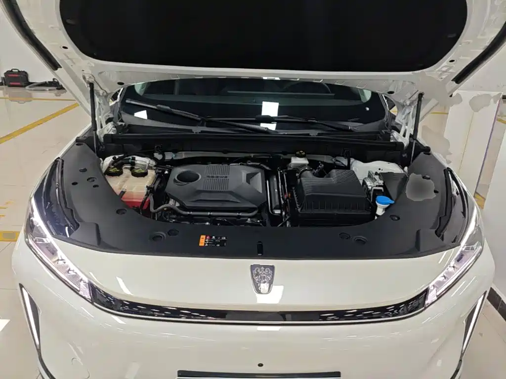 Roewe D5X DMH — фото 20