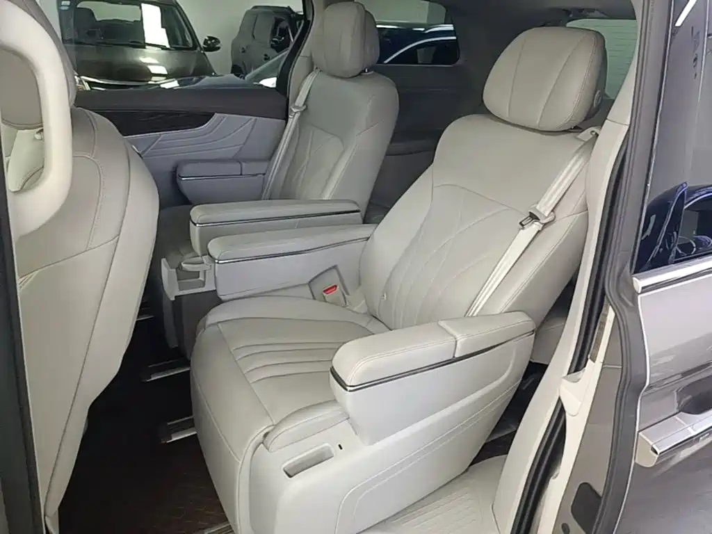 Roewe iMAX8 New Energy — фото 17