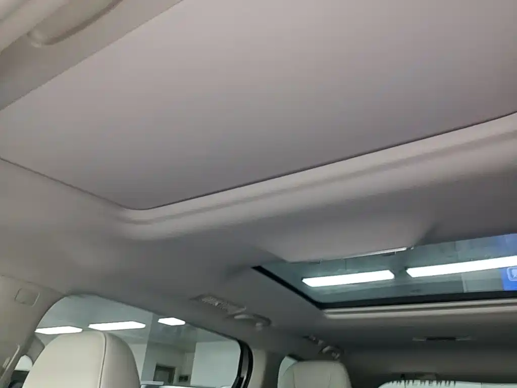 Roewe iMAX8 New Energy — фото 18