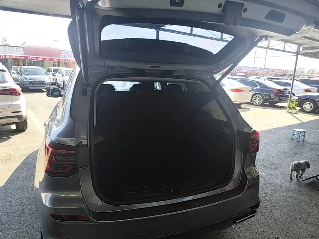Roewe RX5 New Energy — фото 19