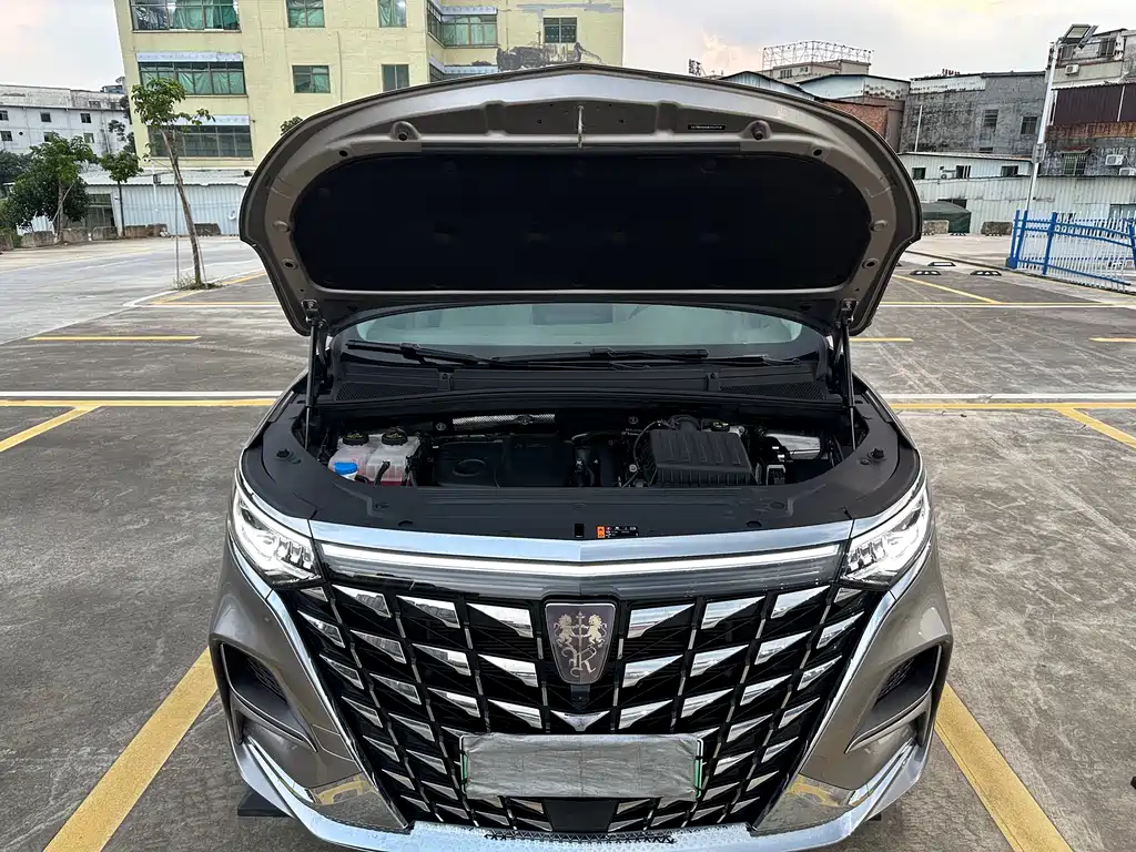 Roewe iMAX8 New Energy — фото 30