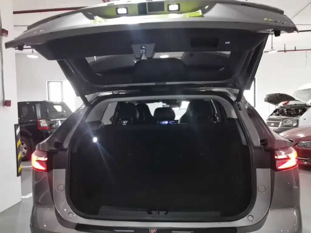 Roewe RX5 New Energy — фото 19