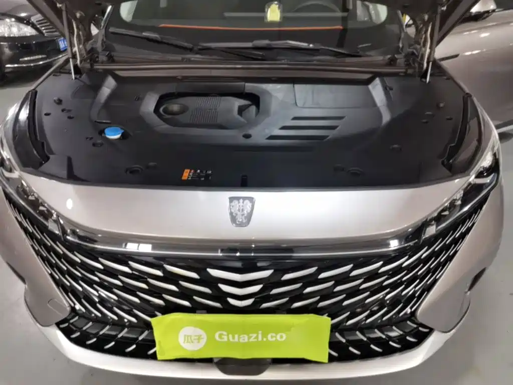 Roewe RX5 New Energy — фото 20