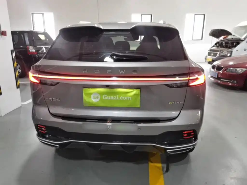 Roewe RX5 New Energy — фото 6