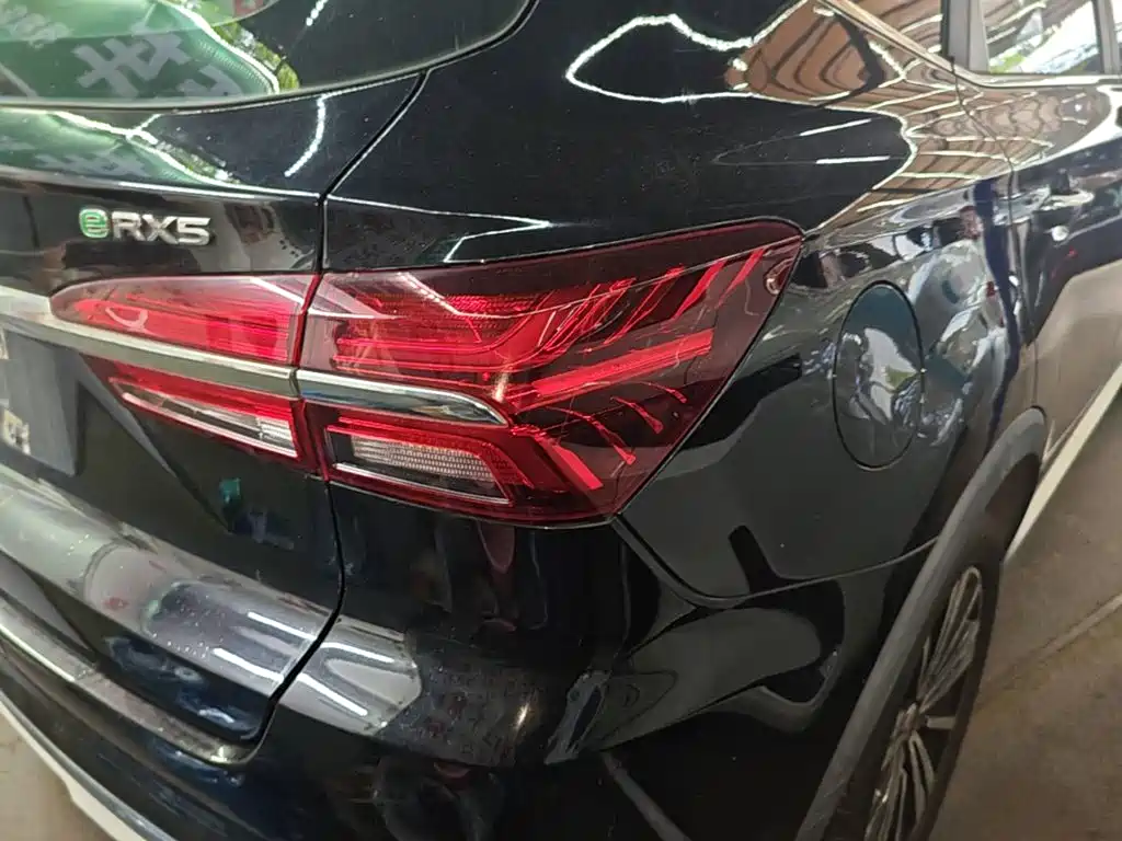 Roewe RX5 New Energy — фото 8