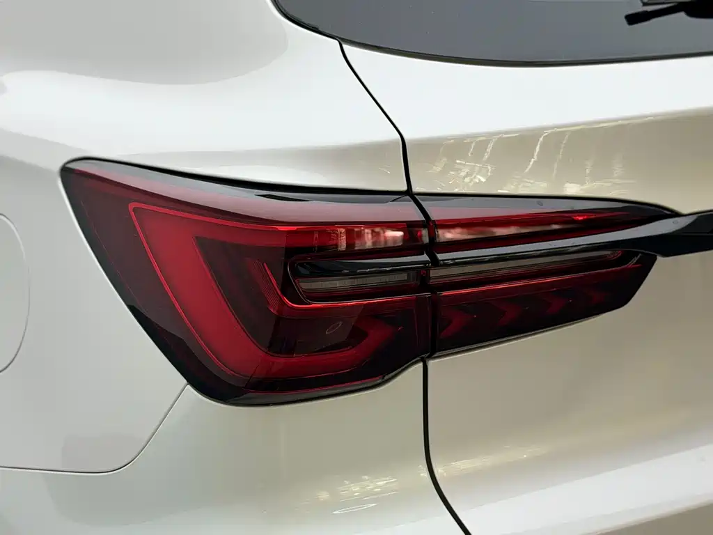 Roewe RX5 New Energy — фото 10