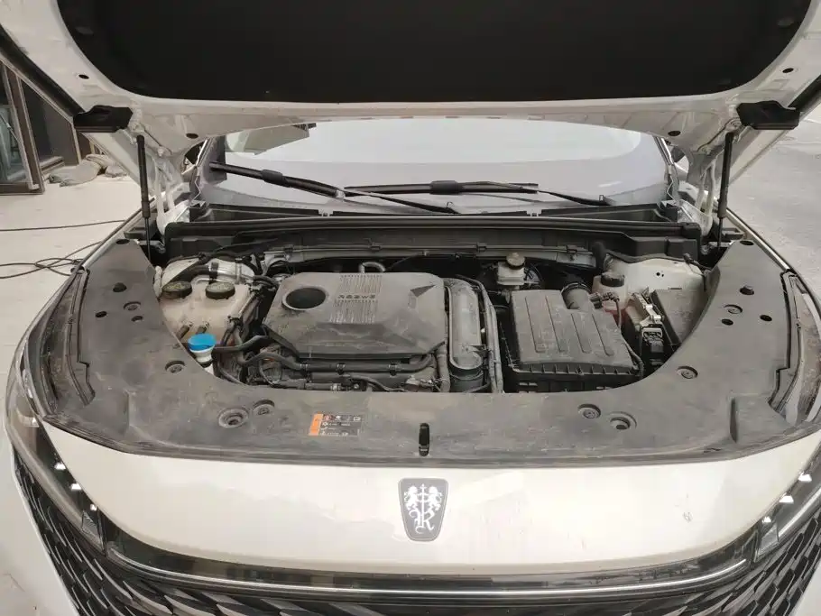 Roewe RX5 New Energy — фото 10