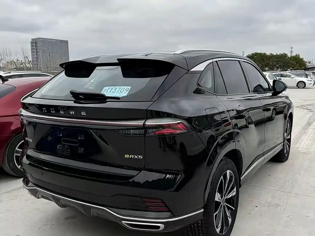 Roewe RX5 New Energy — фото 8