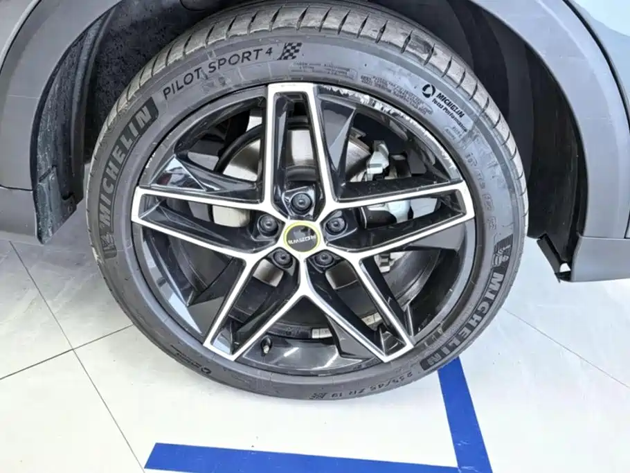 Roewe RX5 New Energy — фото 6