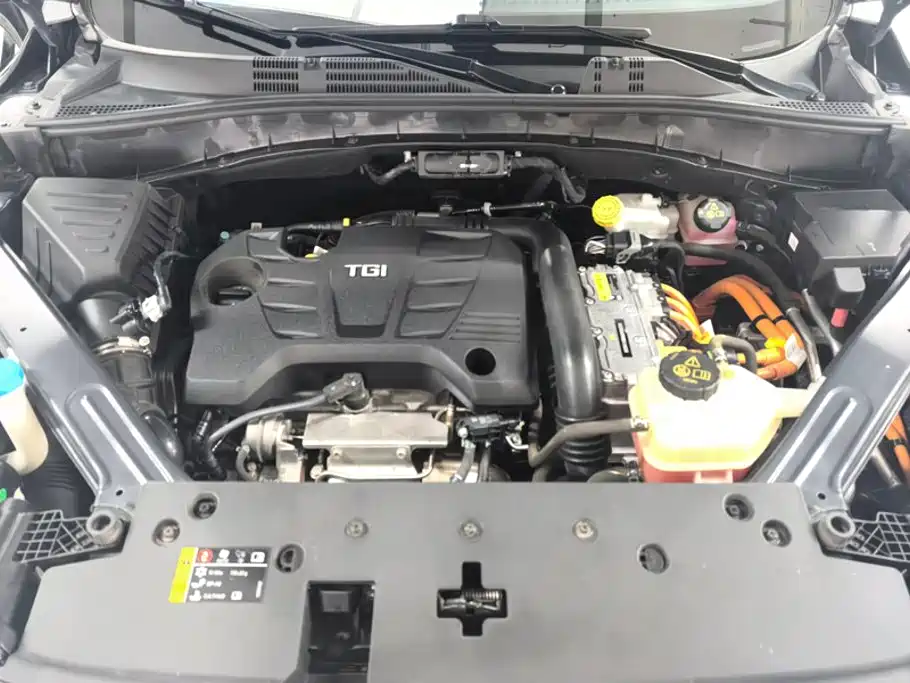 Roewe RX5 New Energy — фото 10
